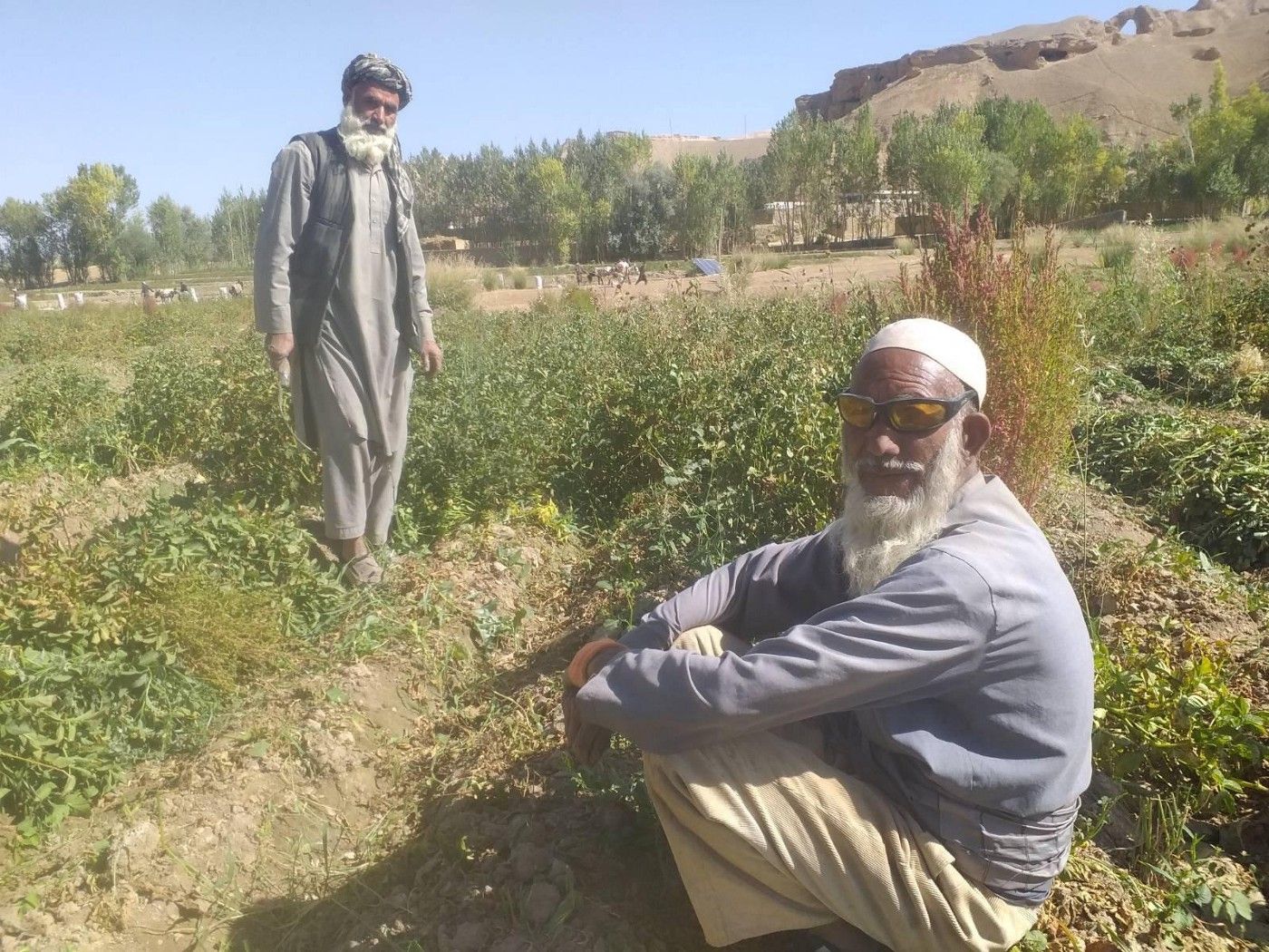 In Afghanistan, Potatoes Pass as Currency