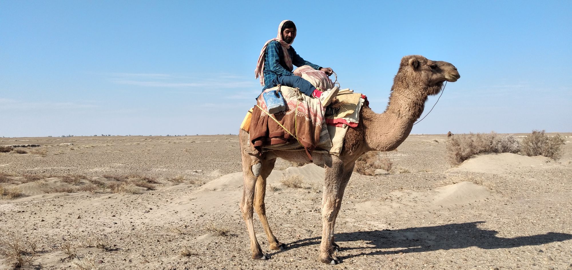 Camels Leave No Time for Tea