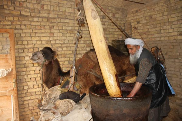 Processing Cooking Oil the Old Way