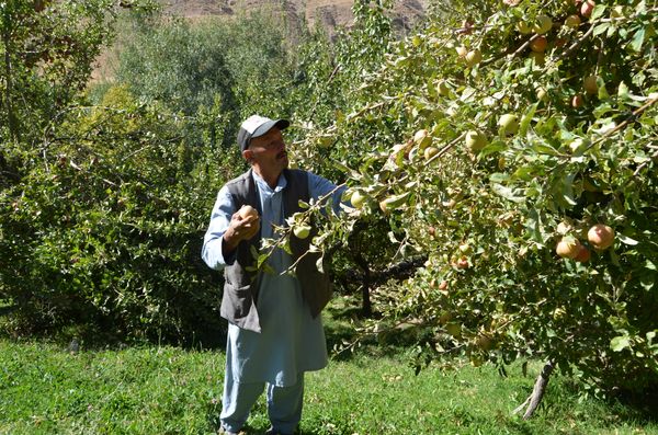 The Apple Farmer Serving Travelers